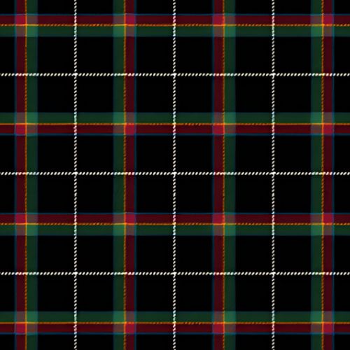 Stott tartan swatch