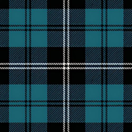 Swan Ancient tartan swatch