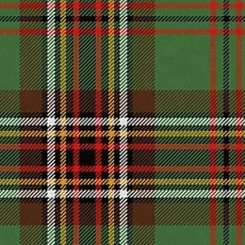 Tara Ancient tartan swatch