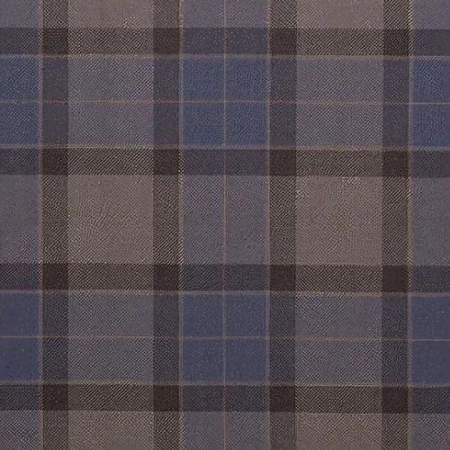 Tay Bank tartan swatch