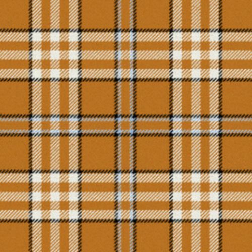 Tennessee Volunteer tartan swatch