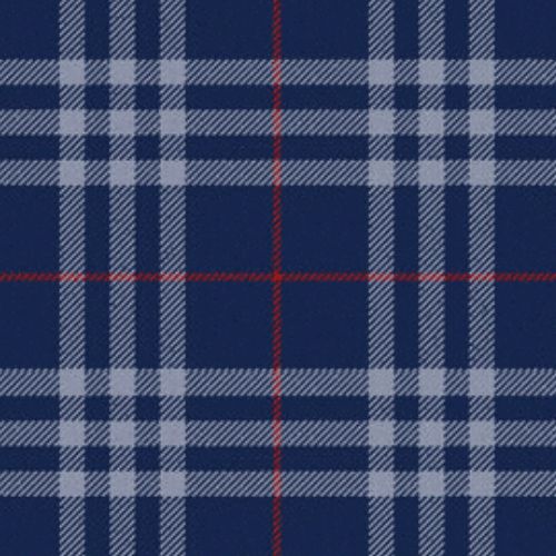 Thomson Navy tartan swatch