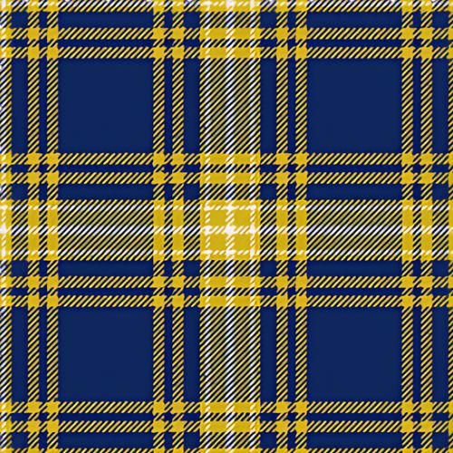 UNC Greensboro Tartan