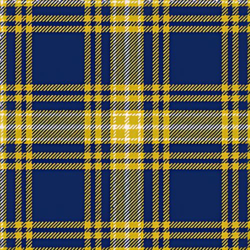 UNC Greensboro tartan swatch