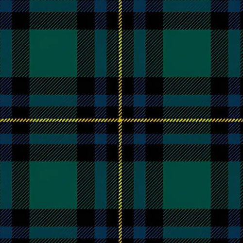 US Border Patrol Tartan