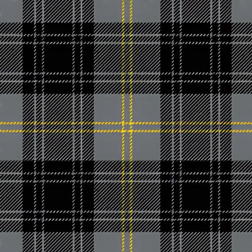 US Military Academy tartan swatch