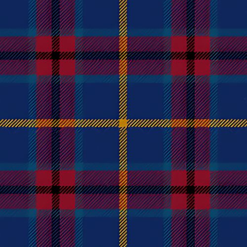 University of Trinity College tartan swatch