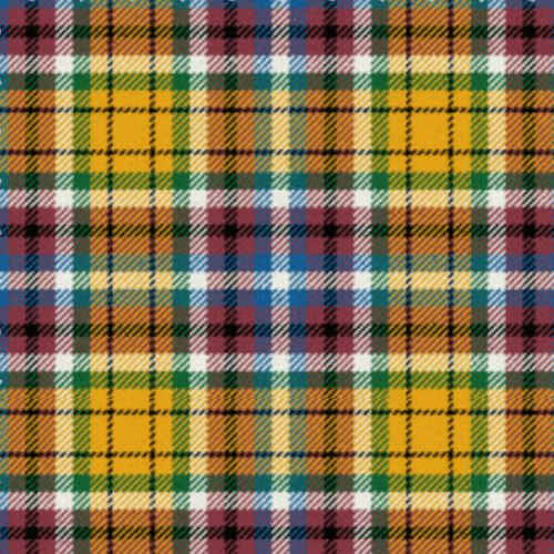 Williams Lake City Ancient Tartan