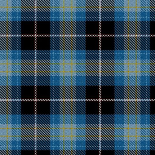 Wrens WRNS Ancient tartan swatch