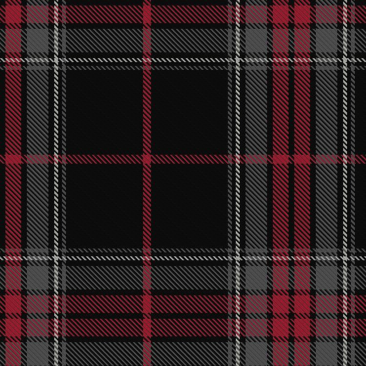 Spirit of Bruce tartan swatch