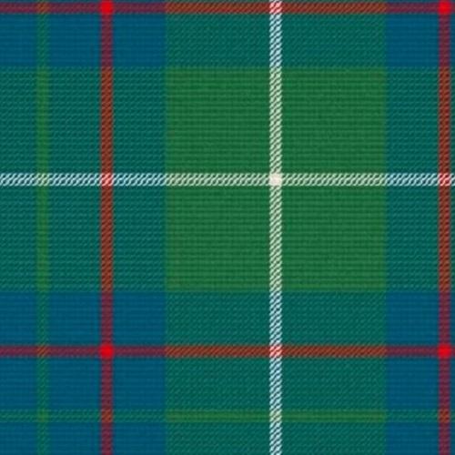 Macintyre Hunting Muted Tartan swatch