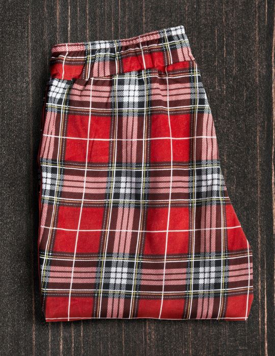 Men's Tartan Shorts - back view